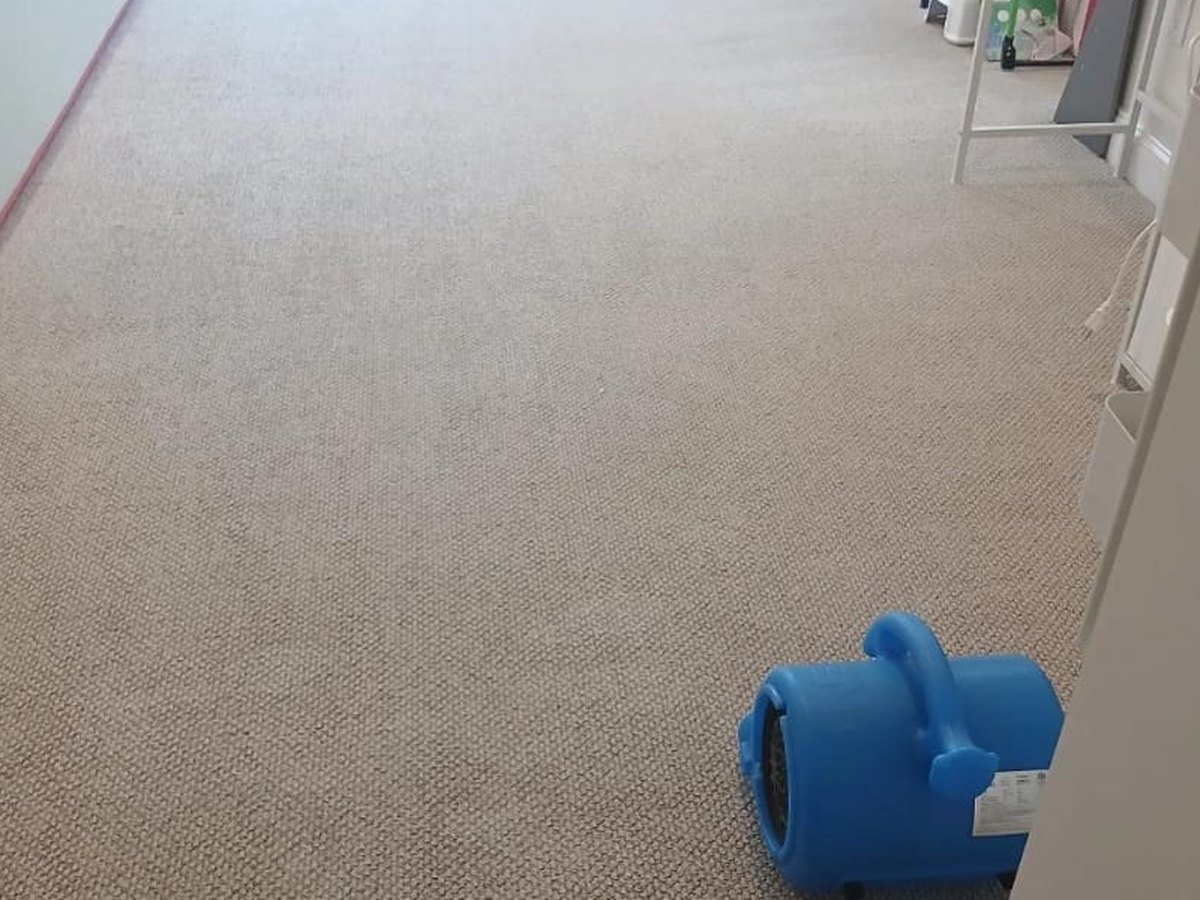 The same beige playroom carpet after steam extraction, stain-free and drying under an air mover