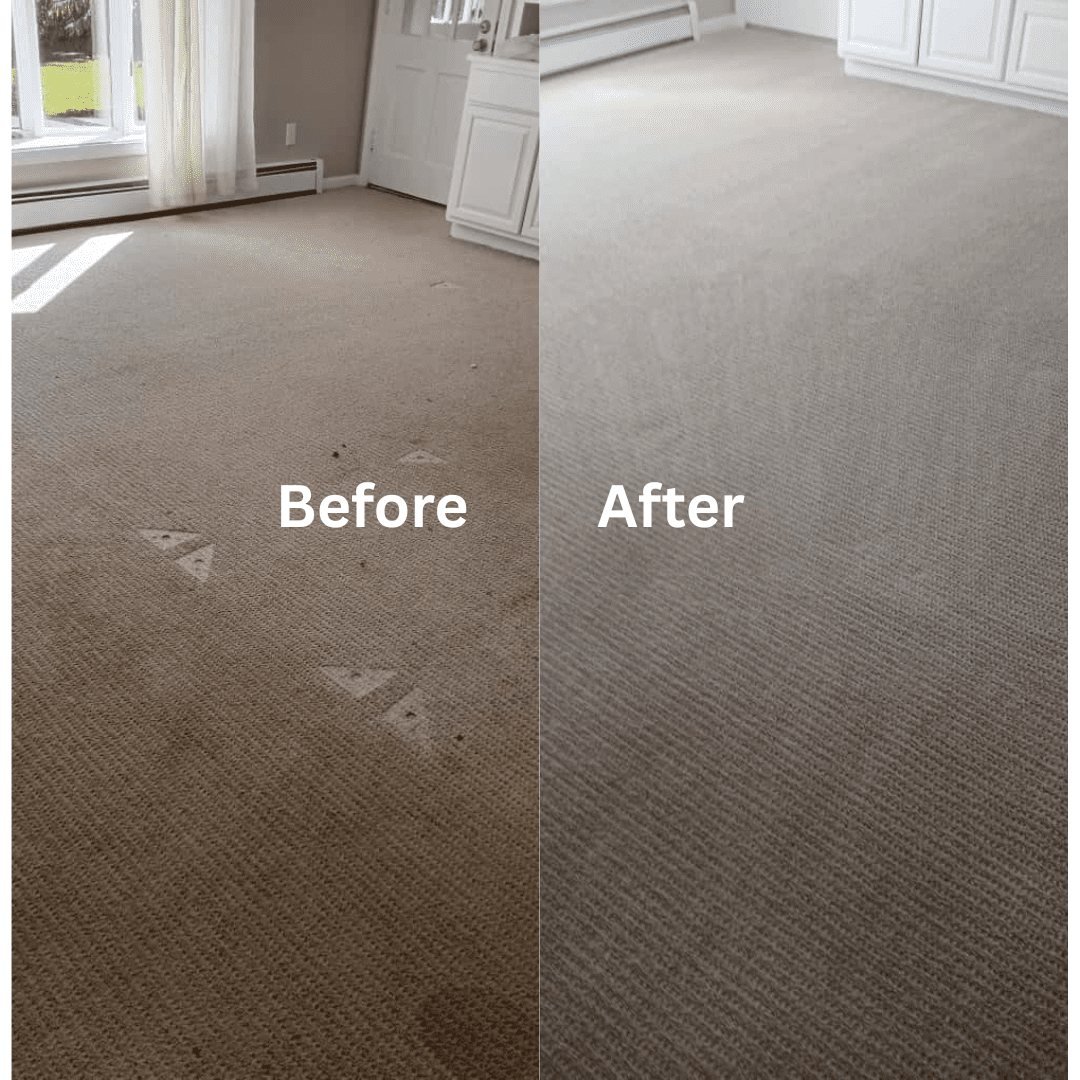 Carpet traffic lanes before and after Vix steam extraction, side by side