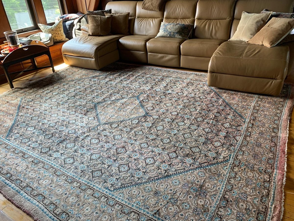 Large patterned area rug cleaned in place in a living room