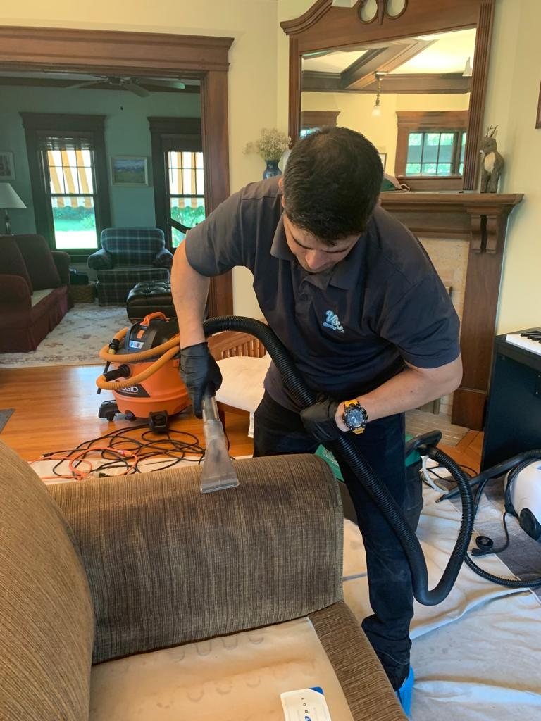 Alex deep-cleaning an upholstered armchair with a hand tool